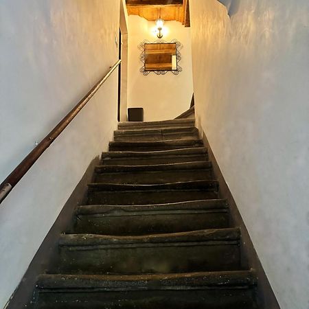 ローマNavona Fox Houseアパートメント エクステリア 写真